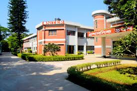 চাকরির বাজারে নিটার: সাফল্যের এক অনন্য দৃষ্টান্ত