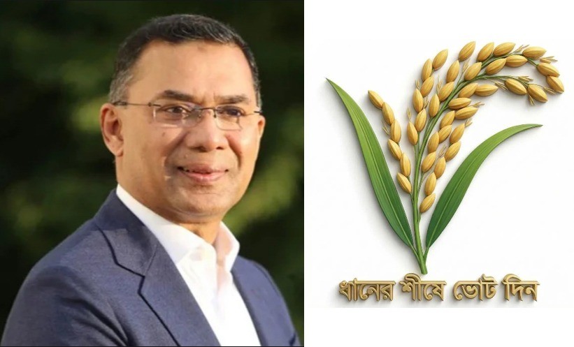 ধানের শীষের সাথে দাঁড়িপাল্লার প্রতিযোগিতা হয় না