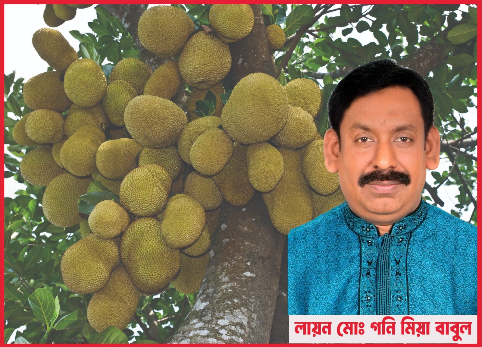 নতুন ইসি গঠনে দেশ-বিদেশে ভালো বার্তা যাবে : আমীর খসরু