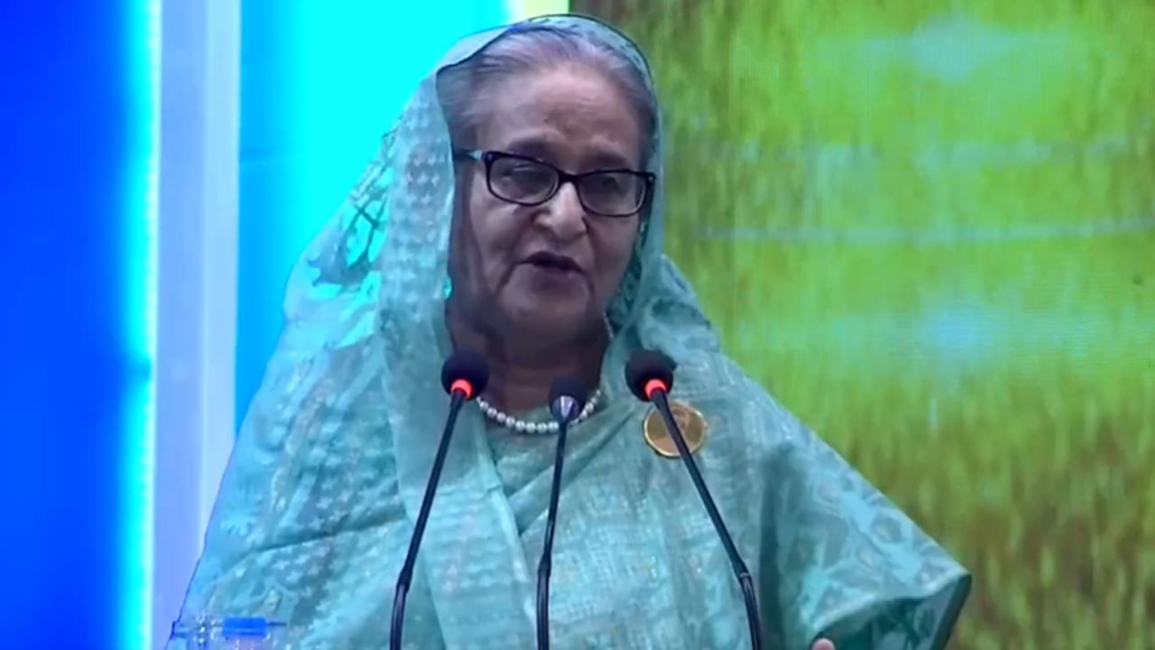 দেশের অর্থনীতি এখন যথেষ্ট শক্তিশালী : প্রধানমন্ত্রী