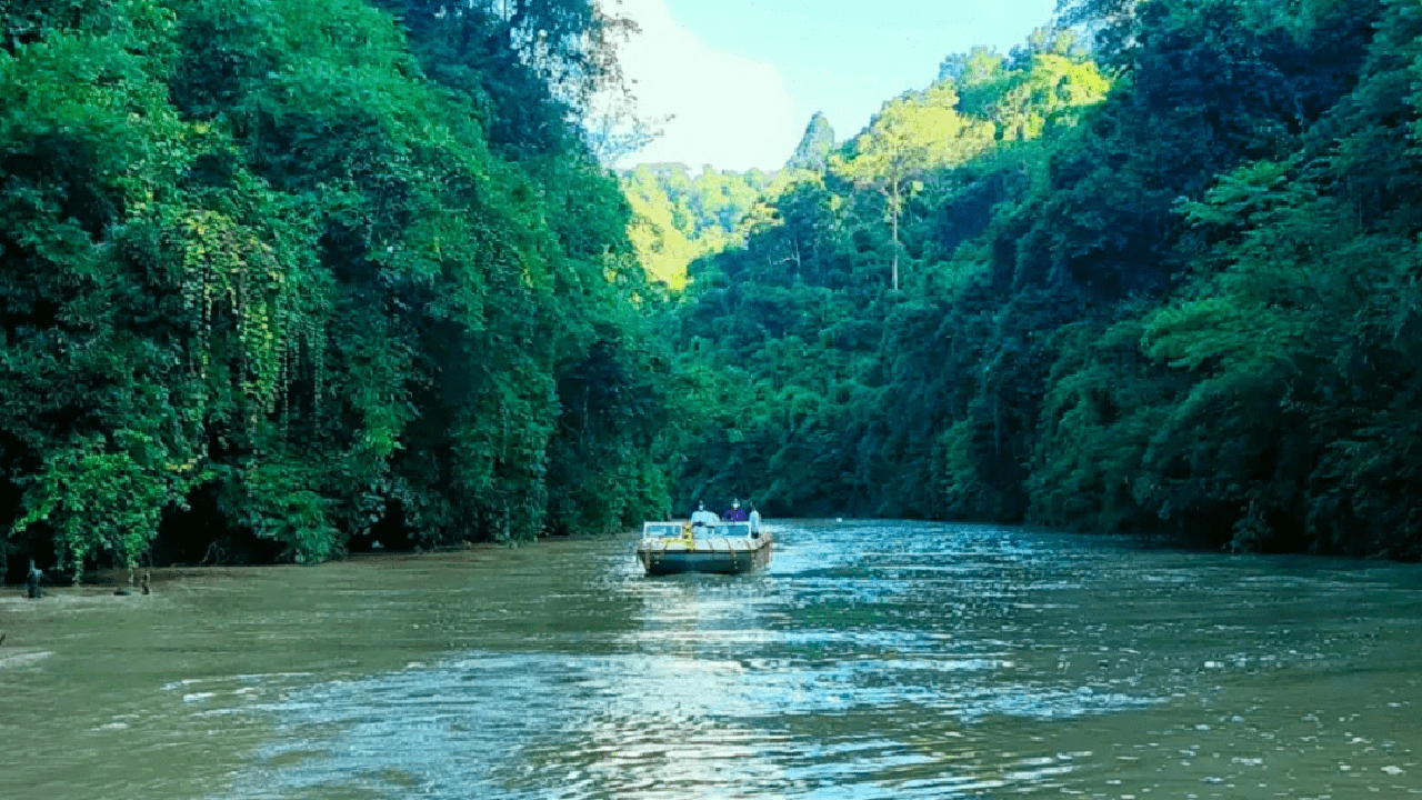 মাকে উপহার দিতে পারেন এমন ৩ স্মার্টফোন
