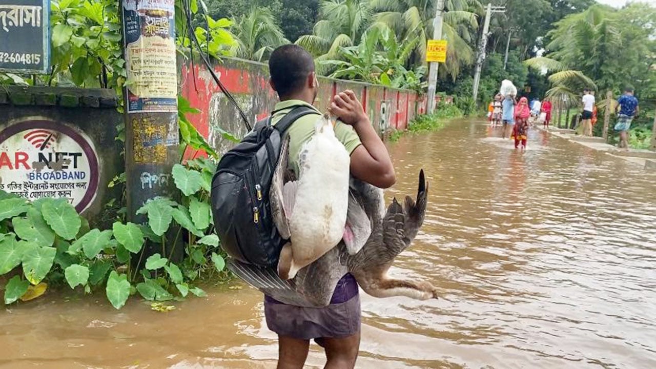 গাজায় নিহত ফিলিস্তিনিদের অন্তত ৫৬ শতাংশ নারী ও শিশু: জাতিসংঘ