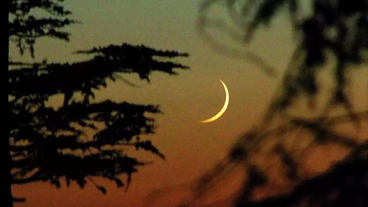 যে সমীকরণে সুপার এইটে যেতে পারেন টাইগাররা