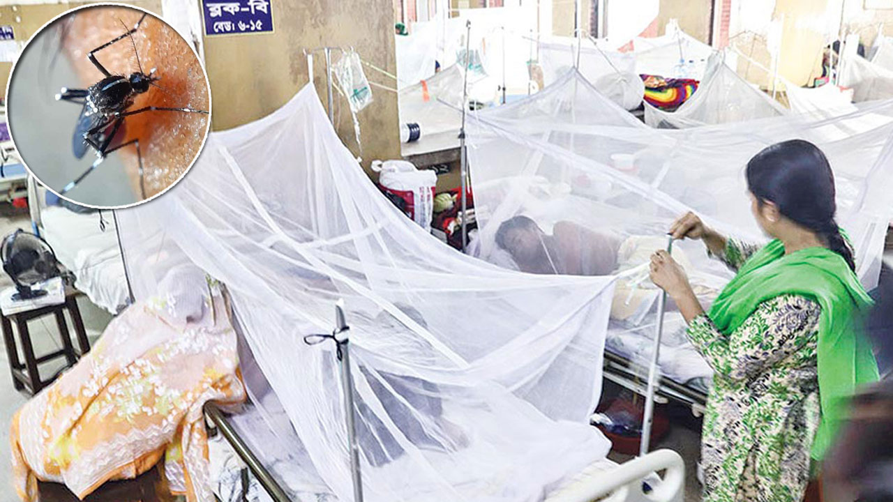 ডেঙ্গুতে ১ জনের মৃত্যু, শনাক্ত ৭৫