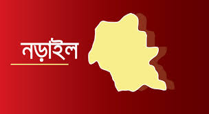 নড়াইলে জাতীয় পরিসংখ্যান দিবস পালিত