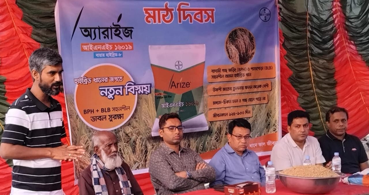 নড়াইলে উন্নত জাতের ধান নিয়ে মাঠদিবস অনুষ্ঠিত