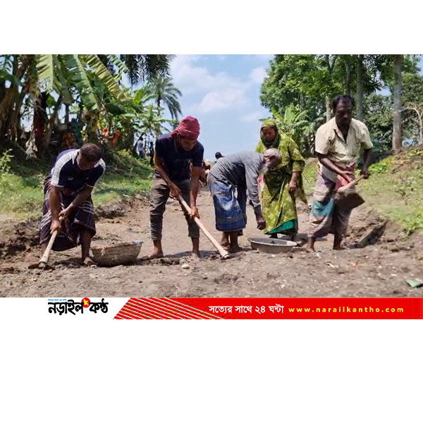 নড়াইলে দাইবাড়ি খাল পুনঃখননে কৃষিতে নতুন সম্ভাবনা