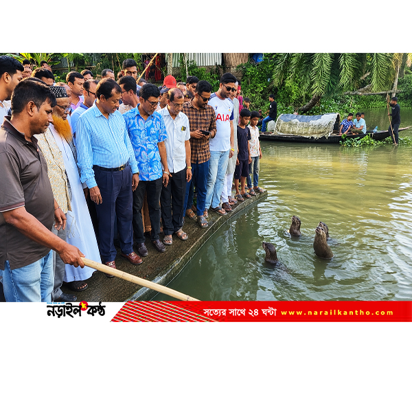 চিত্রা নদী ও বিপন্ন ভোঁদড় সংরক্ষণের অঙ্গীকারে নড়াইলে প্রথমবার উদযাপিত বিশ্ব ভোঁদড় দিবস