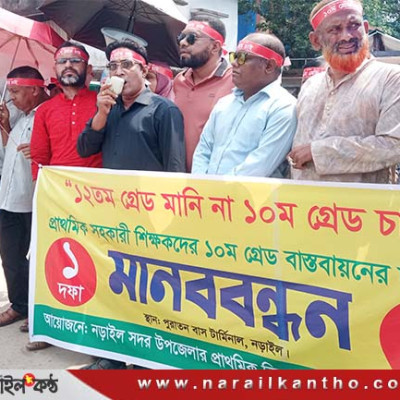 ১০ম গ্রেড বাস্তবায়নের দাবীতে নড়াইলে সহকারী শিক্ষকদের মানববন্ধন