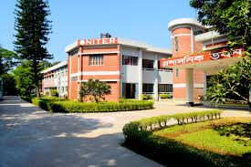 চাকরির বাজারে নিটার: সাফল্যের এক অনন্য দৃষ্টান্ত