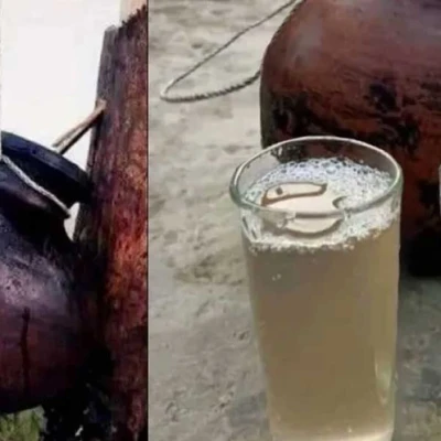 নড়াইলে খেজুরের রস পানে ৬ শিক্ষার্থী অসুস্থ