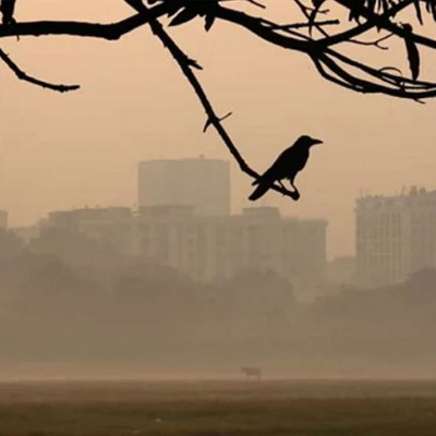 নড়াইলে চাকরি মেলায় পাঁচ শতাধিক বেকারকে কর্মসংস্থানের ব্যবস্থা