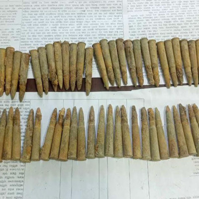 মাটি খুঁড়তেই মিলল ৭৮টি তাজা গুলি