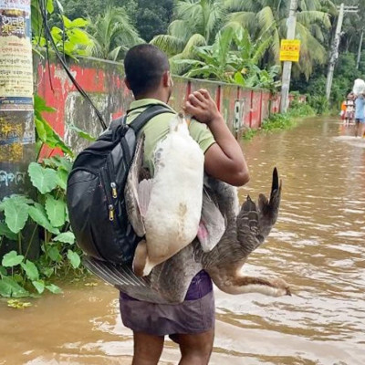 বন্যায় বিপর্যস্ত ১৩ জেলা যেন চেনার উপায় নেই