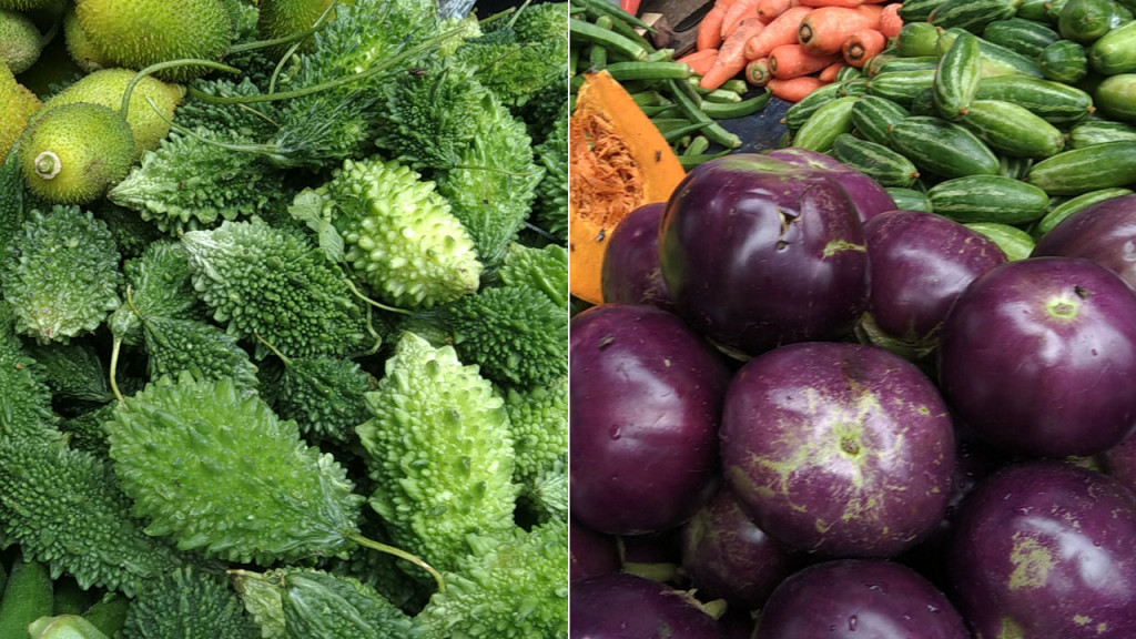 অবাধ, সুষ্ঠু ও নিরপেক্ষ ভোট হবে: প্রধানমন্ত্রী