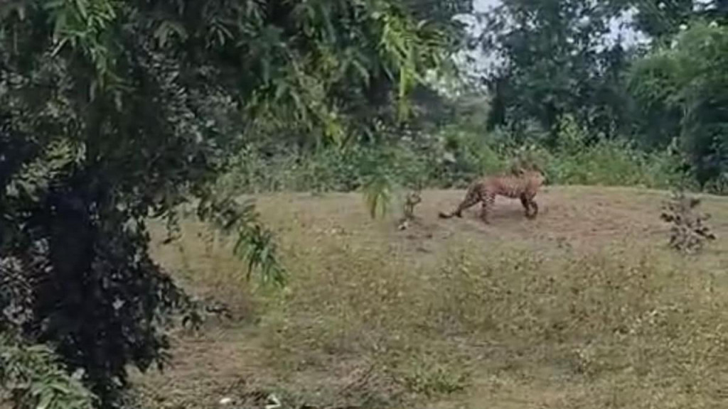 সিলেট থেকে সরাসরি হজ ফ্লাইট চালু