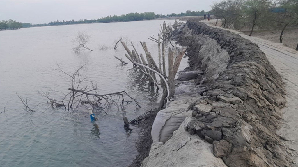 রিজার্ভ নিয়ে চিন্তার কিছু নেই: প্রধানমন্ত্রী