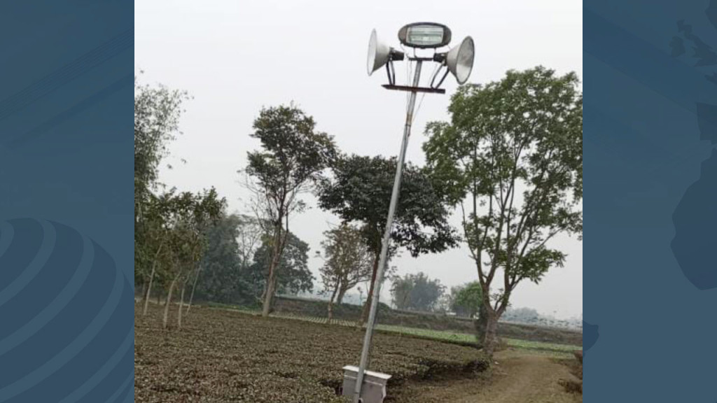 বঙ্গবন্ধুর প্রতিকৃতিতে প্রধানমন্ত্রীর নতুন প্রেস সচিবের শ্রদ্ধা