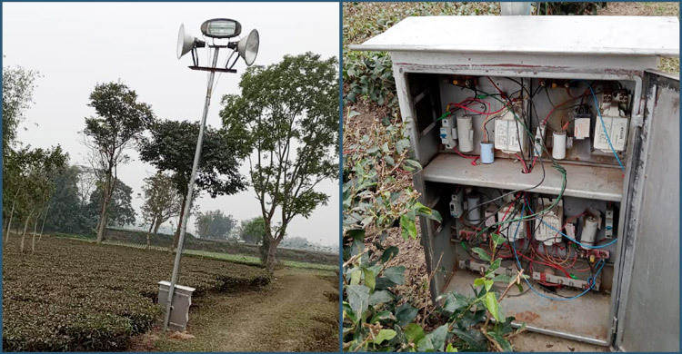 গাজায় ইসরায়েলি হামলায় নিহত আরও ৭৭, প্রাণহানি ছাড়াল ৩৬৭৩০