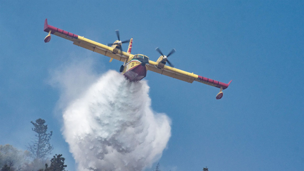 ইচ্ছাকৃত ঋণখেলাপিদের বিষয়ে এফবিসিসিআই সুপারিশ করে না : সভাপতি