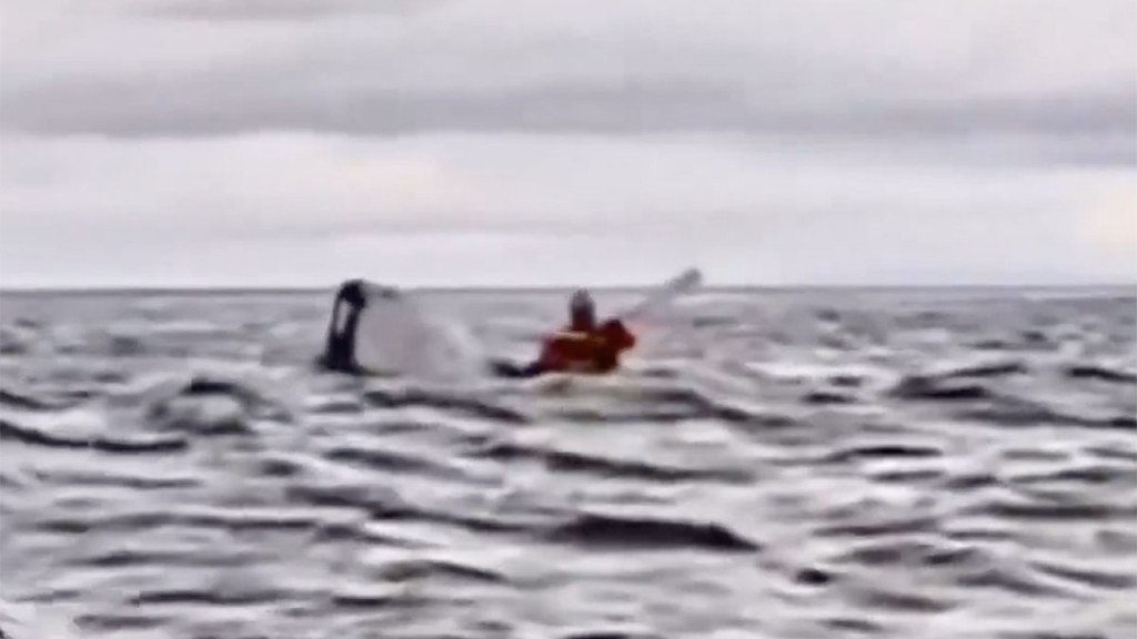 গাজায় এবার বিষণ্ন ঈদ