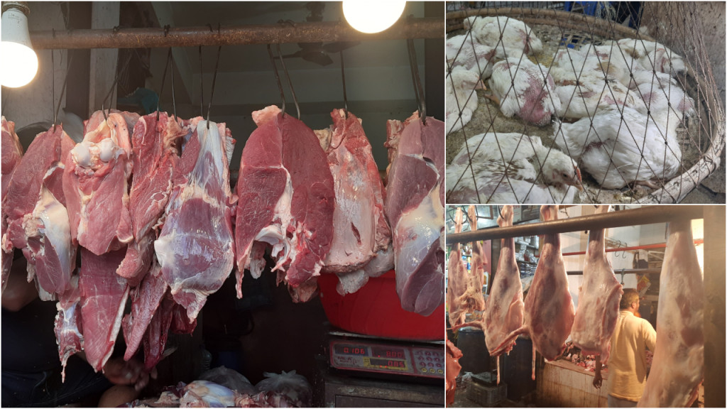 নামিবিয়ার বিপক্ষে যে সমীকরণ মেলাতে হবে ইংল্যান্ডকে