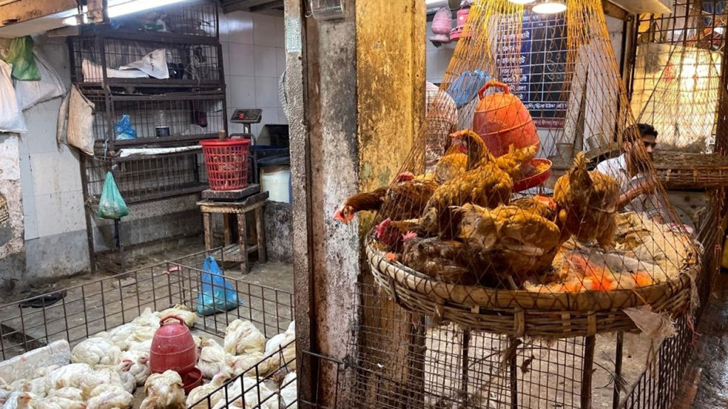 সপ্তাহের ব্যবধানে কেজিতে ২০ টাকা বেড়েছে ব্রয়লারের দাম