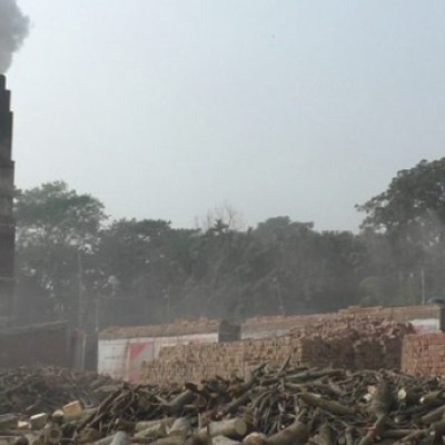 নড়াইলে অনুমোদন ছাড়াই চলছে অধিকাংশ ইটভাটা