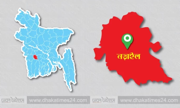 নড়াইলে ফেরিওয়ালা সেজে গরু চুরি, ২ মাসে খোয়া গেল ৩৫ গরু