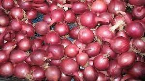 পাকিস্তান থেকে এলো ১১৬ টন পেঁয়াজ, কমতে শুরু করেছে দাম