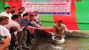 নড়াইলে মাছের পোনা অবমুক্ত