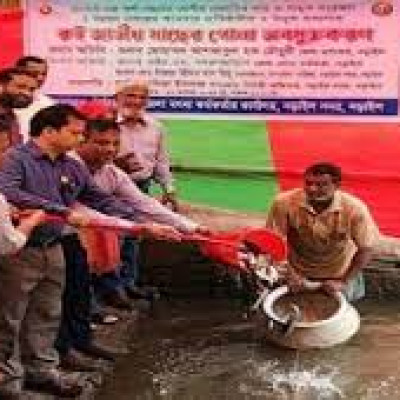 নড়াইলে মাছের পোনা অবমুক্ত