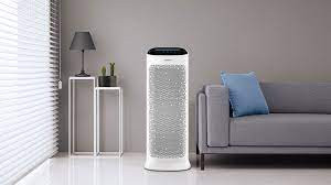 শরীর ও মন সুস্থ রাখতে বিশুদ্ধ বাতাস