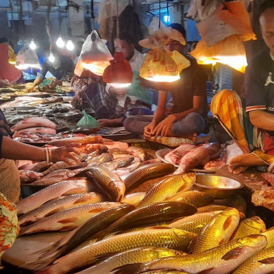 কমে ১০ বাড়ে ১০০, বাজার যেন ‘পাগলা ঘোড়া’