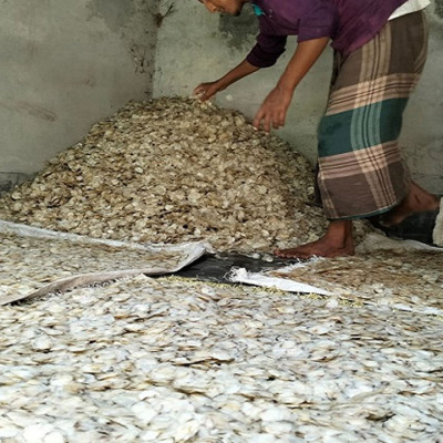 অভিনব এক ব্যবসা— মাছের আঁশ রপ্তানি