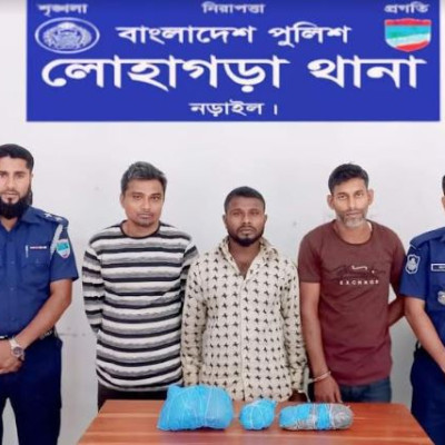 লোহাগড়া গাঁজাসহ ৩ জন গ্রেফতার