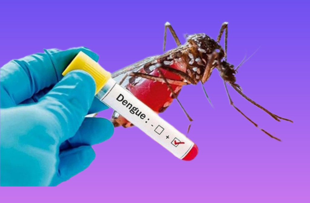 সরকারি হসপিটালে ৫০ টাকায় ডেঙ্গু পরীক্ষা করানো যাবে
