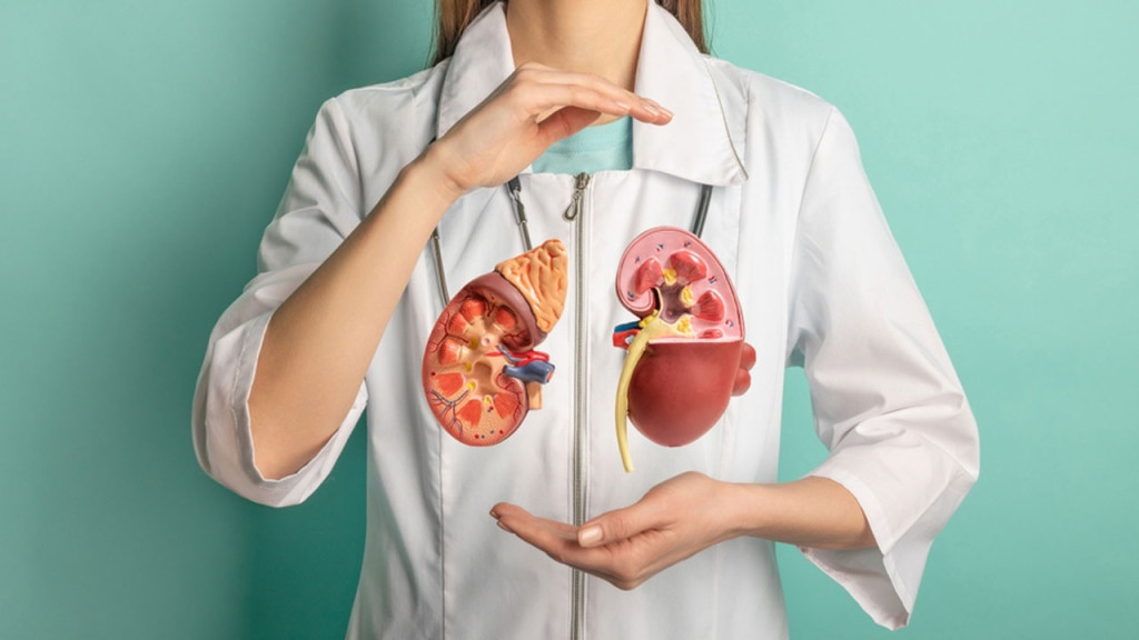 কিডনি পরিষ্কার রাখে যে ৬ খাবার