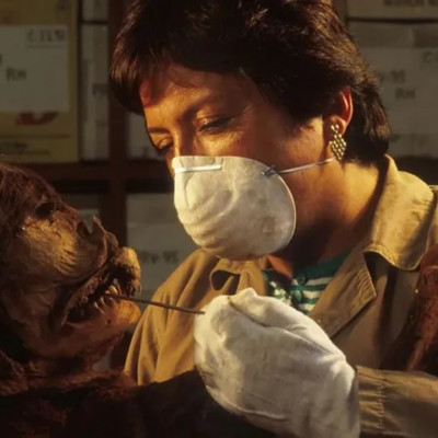 আধুনিক রোগ মুক্তির উপায় মিলবে প্রাচীন কঙ্কালে