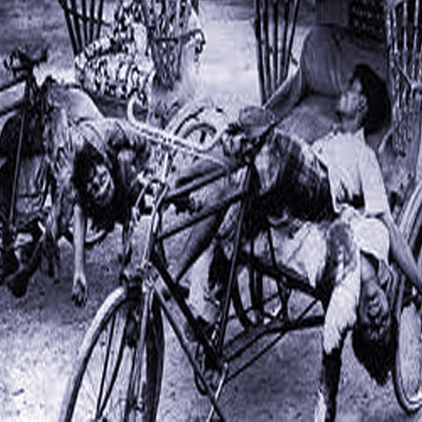 একাত্তর এ বাঙালি হত্যাকাণ্ডকে  ‘জেনোসাইড’ ঘোষণা করল আইএজিএস