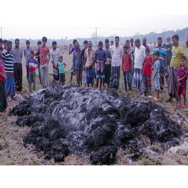 দুষ্কৃতকারীদের আগুনে নড়াইলে কৃষকের সোনালী স্বপ্ন পুড়ে ছাই!