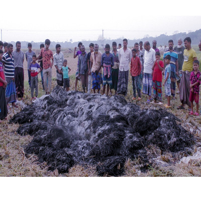 দুষ্কৃতকারীদের আগুনে নড়াইলে কৃষকের সোনালী স্বপ্ন পুড়ে ছাই!