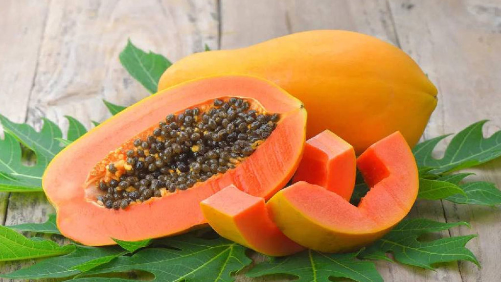 পেঁপের সঙ্গে ভরসা রাখতে পারেন পেঁপের পাতাতেও