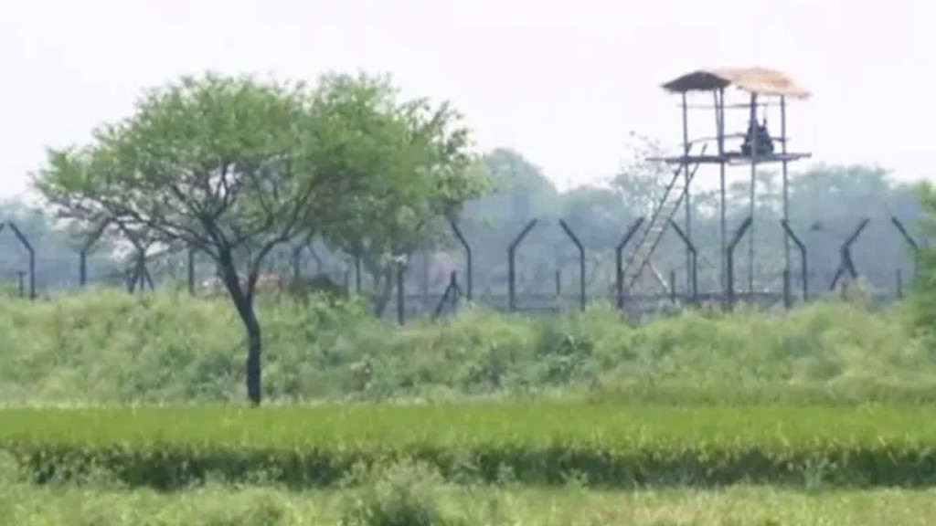 সীমান্তে বিএসএফের গুলিতে বাংলাদেশি কিশোর নিহত