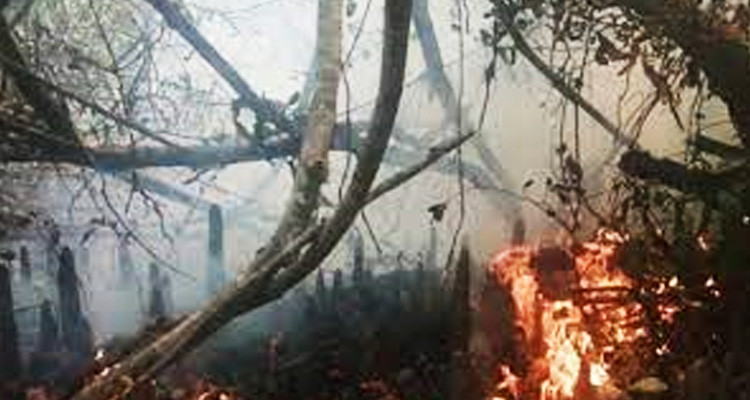 সুন্দরবনের আগুন নেভাতে যোগ দিয়েছে বিমানবাহিনী