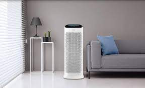 সুস্বাস্থ্যের জন্য বিশুদ্ধ বায়ু