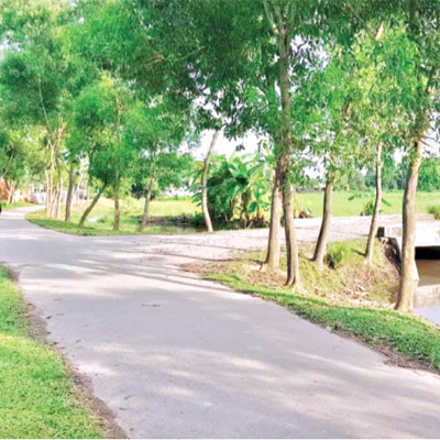 উন্নয়ন জাদু’তে বদলে গেছে জীবনধারা